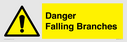 danger-falling-branches~